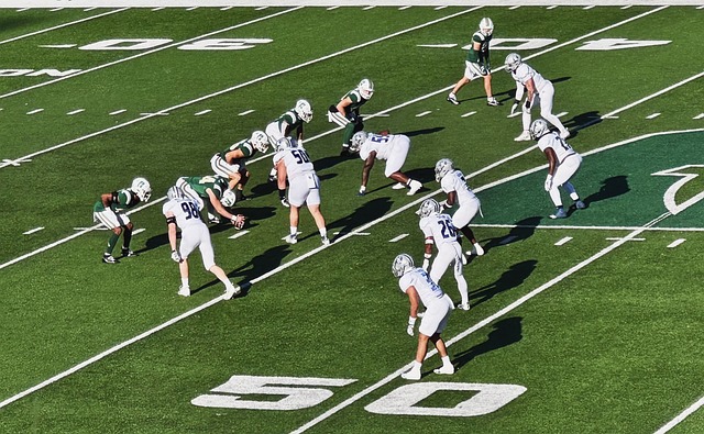 可以精准分 可以精准分