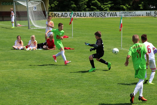 仅提供训练 仅提供训练