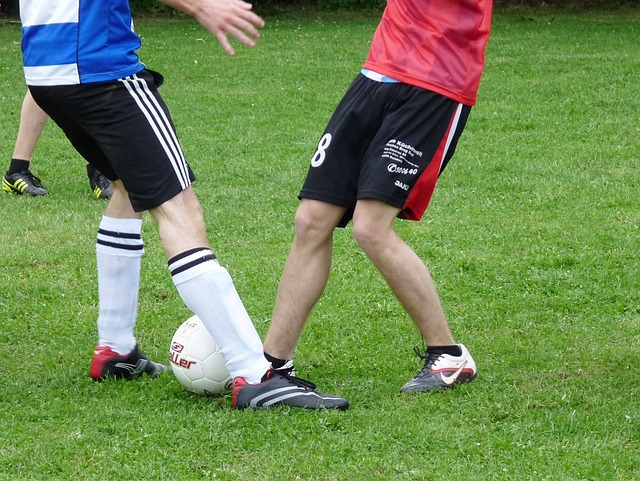 许钟豪的几 许钟豪的几