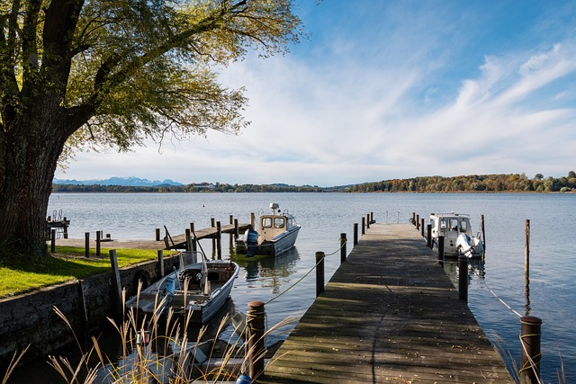 第五人格 第五人格