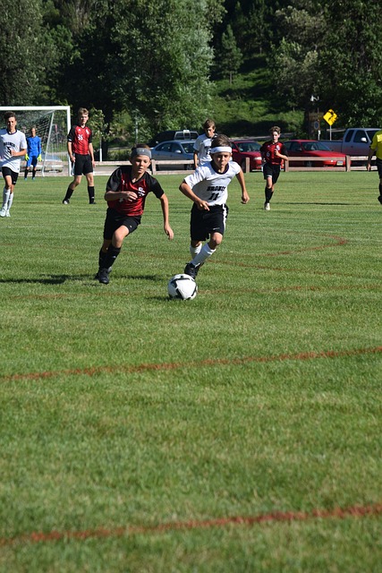 任何一支球 任何一支球