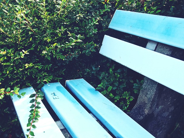 继续奋进 继续奋进