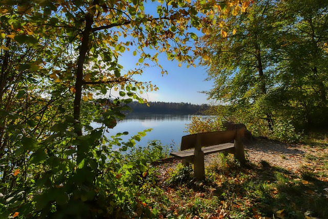 他在场上既 他在场上既